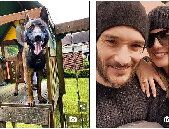 अलीको घरमा चोरी भएपछि लोरिसले किने गार्ड कुकुर !