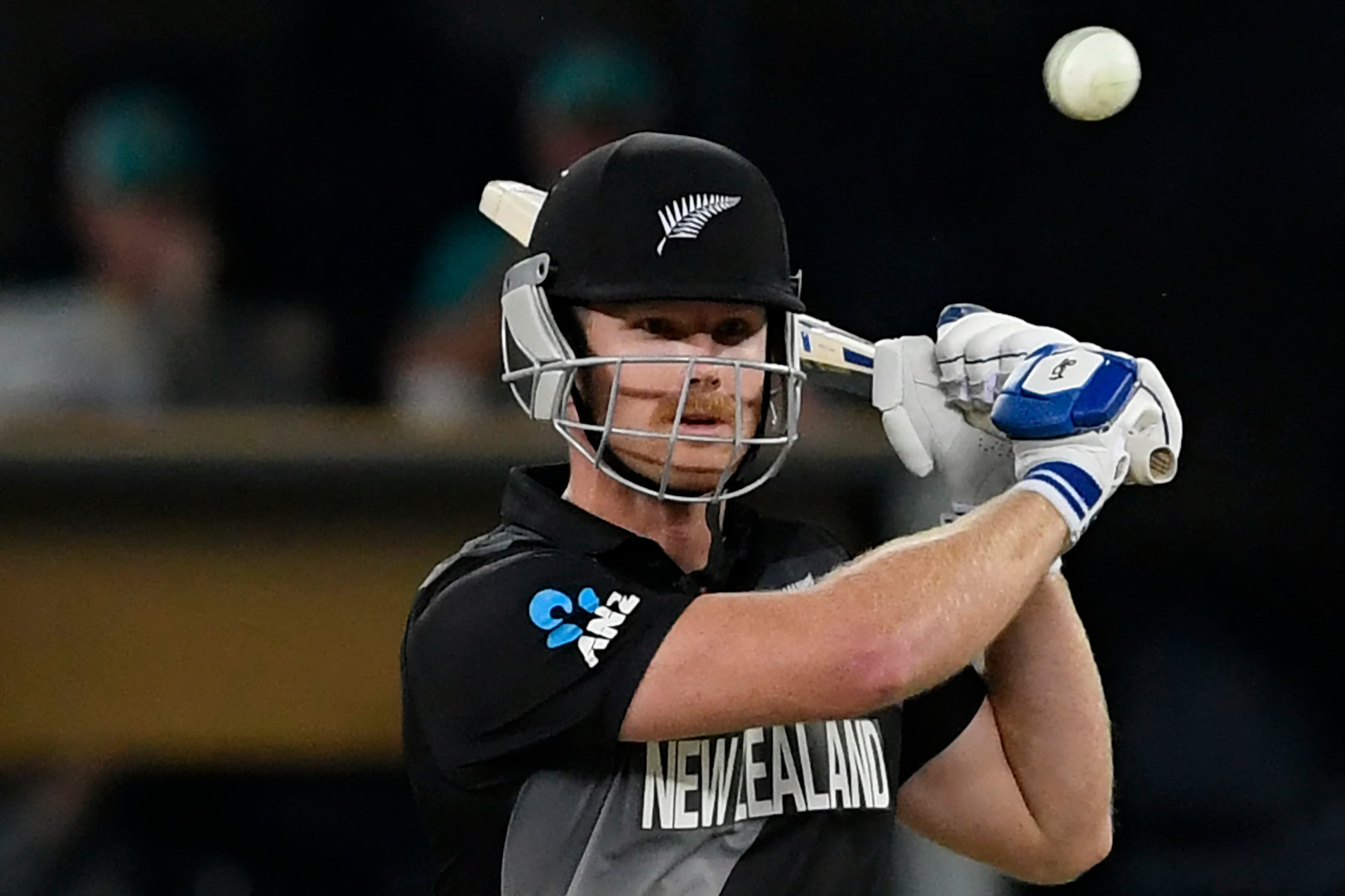 न्युजिल्याण्ड विजयी