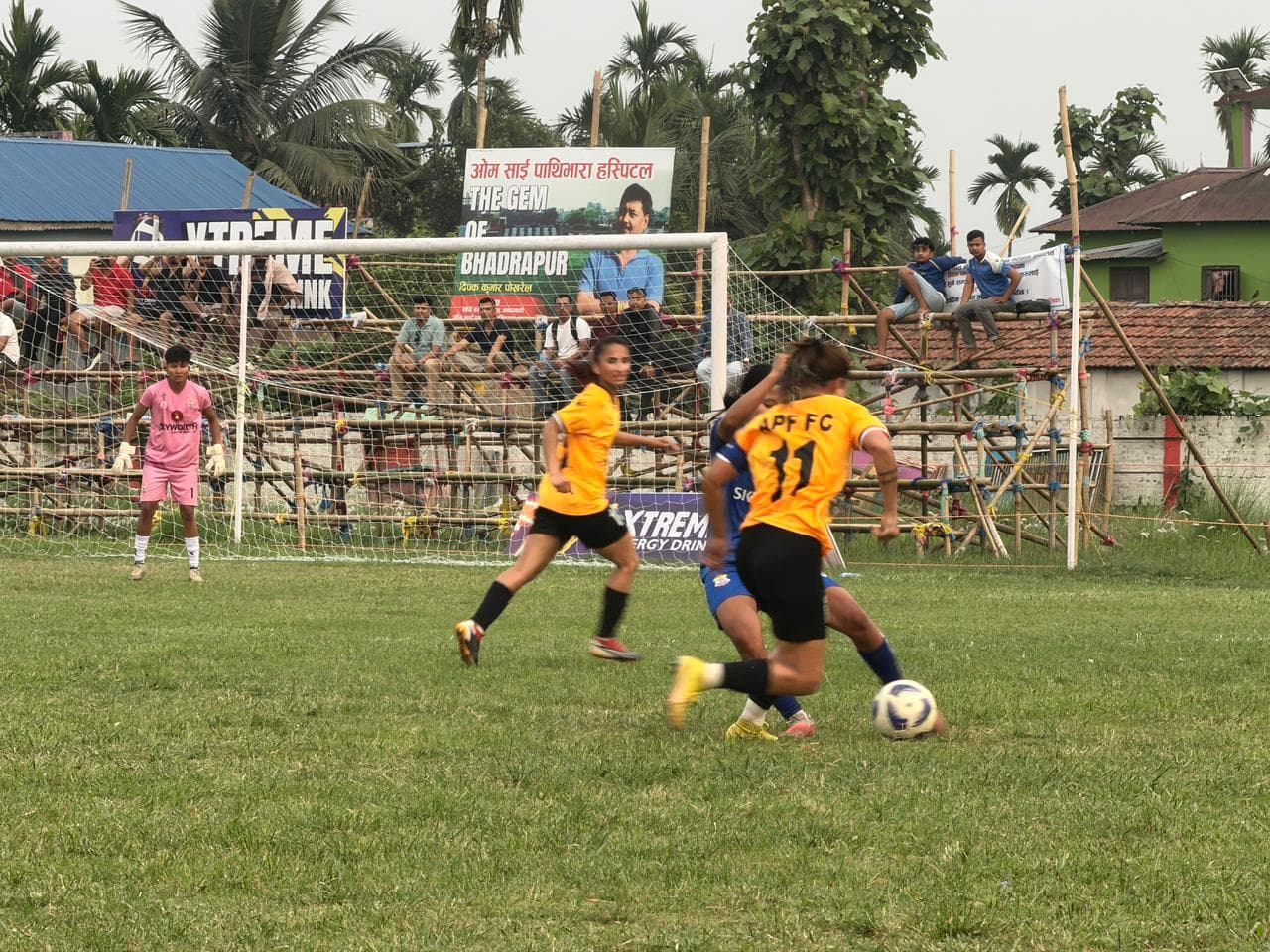 संकटालाई हराउन एपीएफलाई हम्मेहम्मे