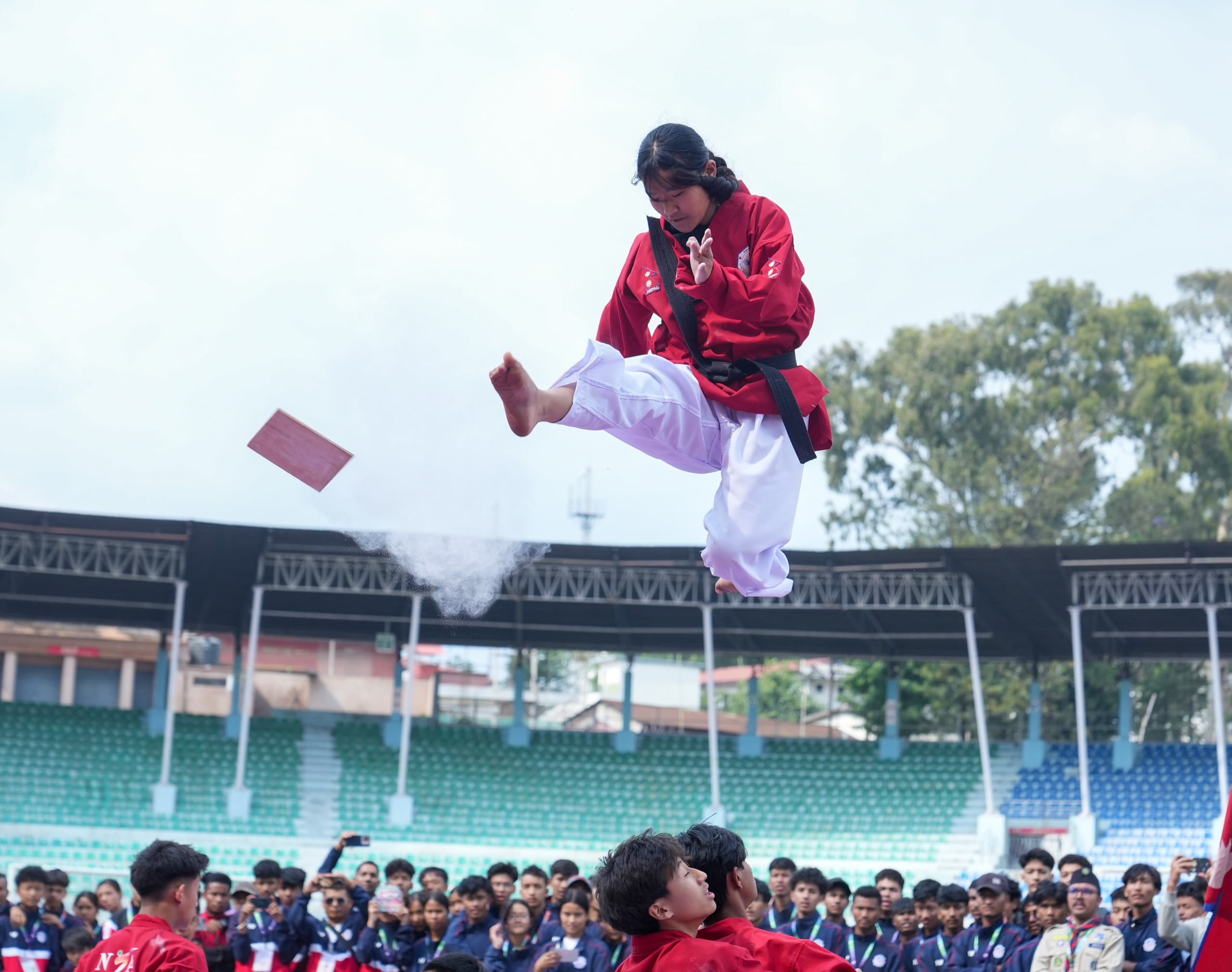 एनेक्स र विपनालाई स्वर्ण