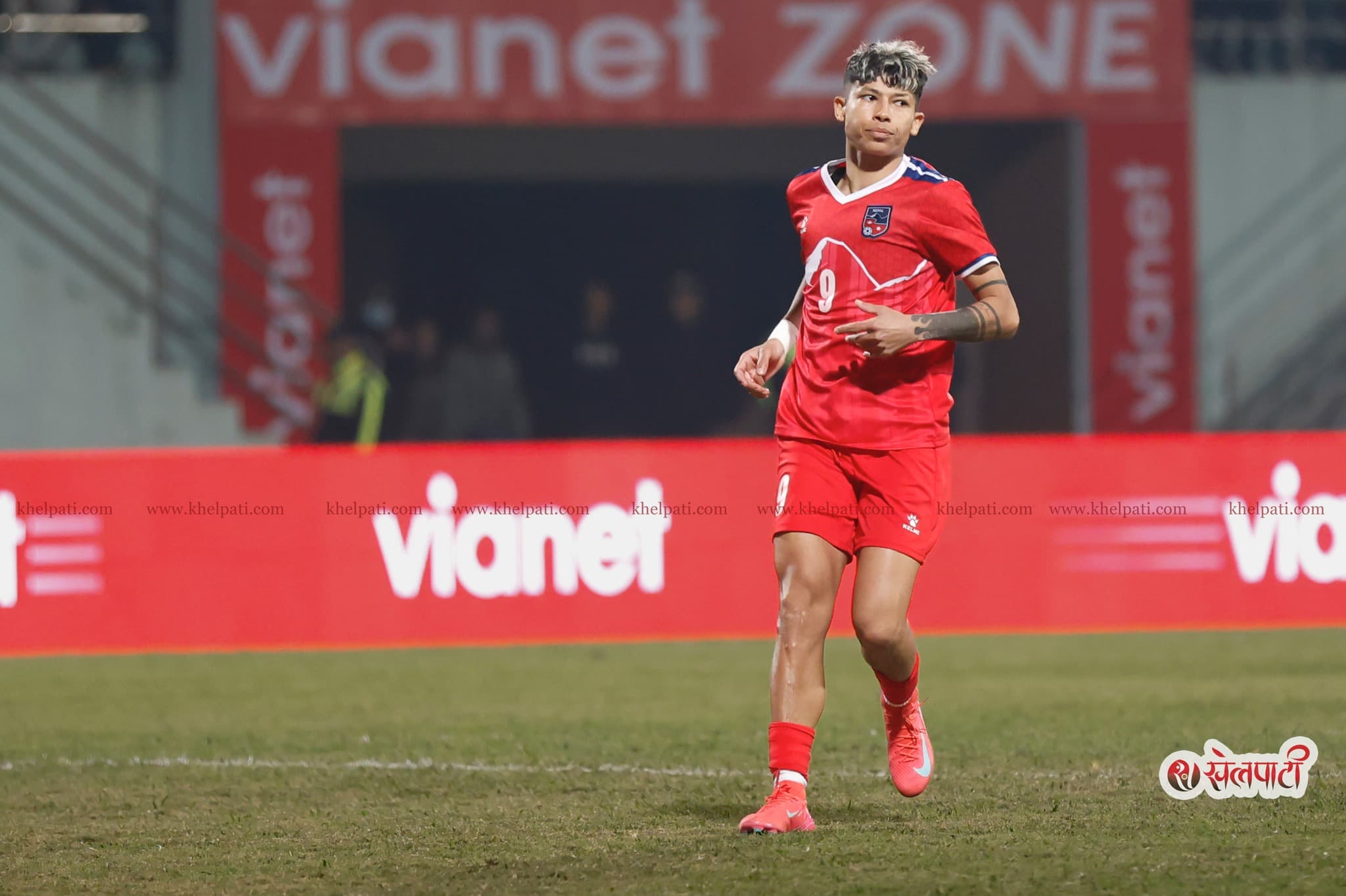  ‘साम्बा’को घुँडाको शल्यक्रिया सफल